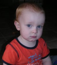 Babies sleep like adults by three years of age.