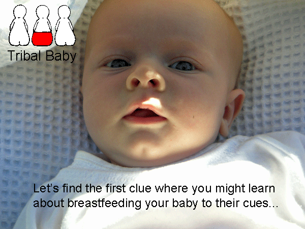 elimination communication and breastfeeding